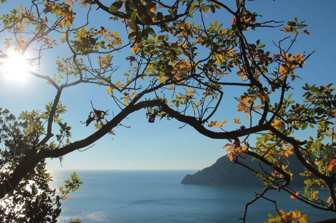 A Ca Du Barba Apartamento Monterosso al Mare Exterior foto